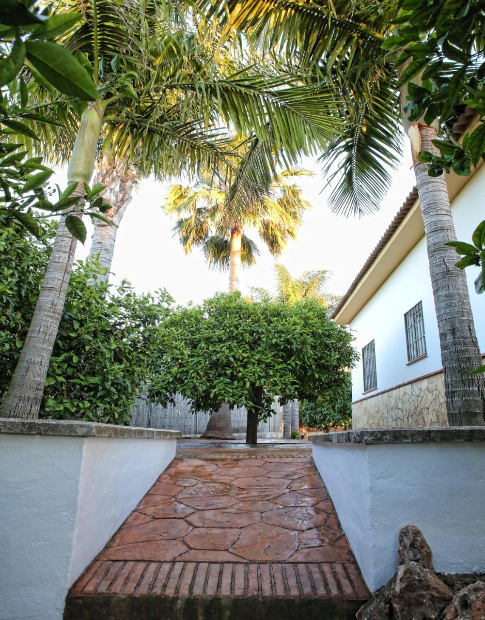 Casa Rural Tipica Andaluza, Wifi,Piscina, Barbacoa, Aire Acondicionado, 5Min Centros Альхаурин-эль-Гранде Экстерьер фото